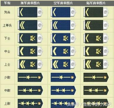 cf最高军衔,cf大元首和荣誉元首区别